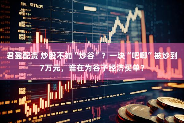 君盈配资 炒股不如“炒谷”？一块“吧唧”被炒到7万元，谁在为谷子经济买单？