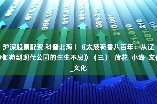 沪深股票配资 科普北海丨《太液荷香八百年：从辽金御苑到现代公园的生生不息》（三）_荷花_小海_文化