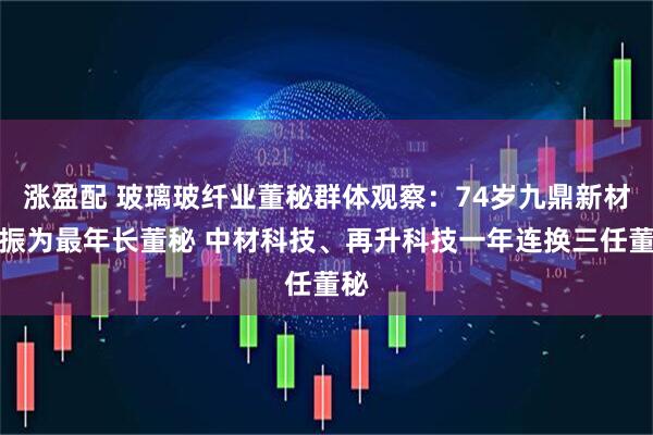 涨盈配 玻璃玻纤业董秘群体观察：74岁九鼎新材缪振为最年长董秘 中材科技、再升科技一年连换三任董秘