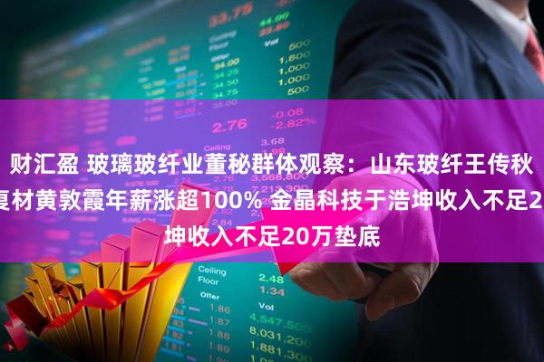 财汇盈 玻璃玻纤业董秘群体观察：山东玻纤王传秋、国际复材黄敦霞年薪涨超100% 金晶科技于浩坤收入不足20万垫底