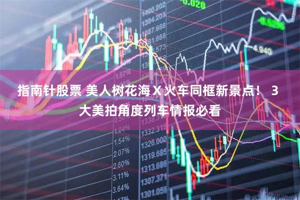 指南针股票 美人树花海Ｘ火车同框新景点！ 3 大美拍角度列车情报必看