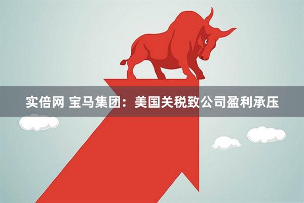 实倍网 宝马集团：美国关税致公司盈利承压