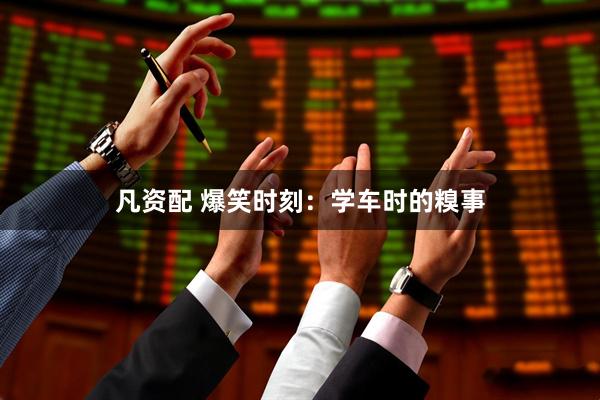 凡资配 爆笑时刻:学车时的糗事