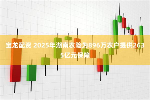宝龙配资 2025年湖南农险为896万农户提供2635亿元保障