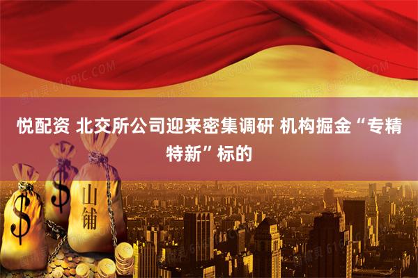 悦配资 北交所公司迎来密集调研 机构掘金“专精特新”标的